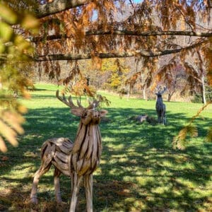 Teak wood buck sculpture