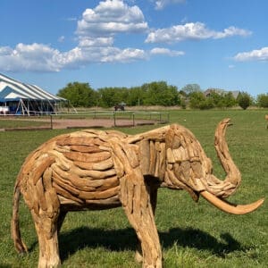 Teak wood elephant sculpture