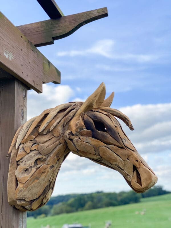 Teakwood wall-mounted horse head sculpture