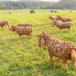 Teakwood Sheep Sculptures