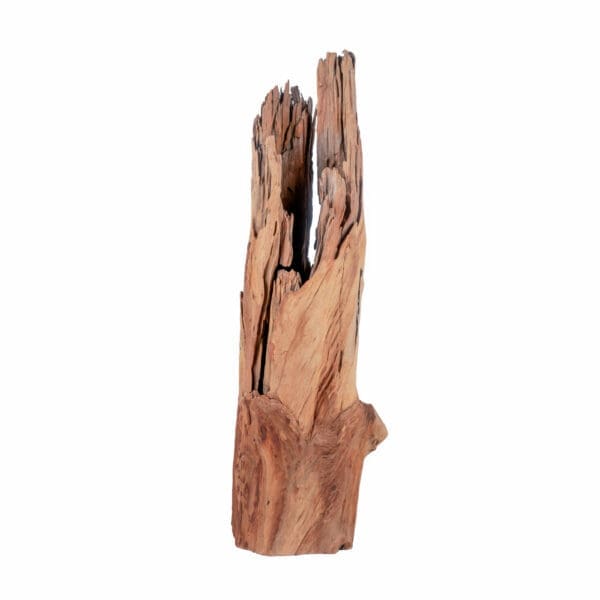 Table Top Vertical Live Edge Natural Wood Sculpture